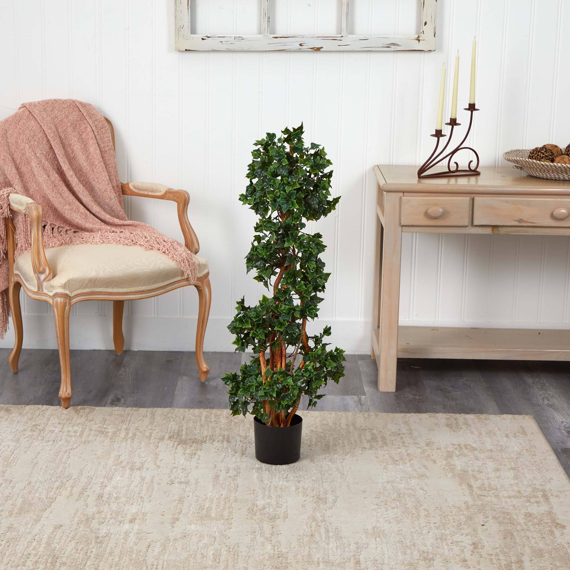3.5ft. Potted English Ivy Spiral Tree